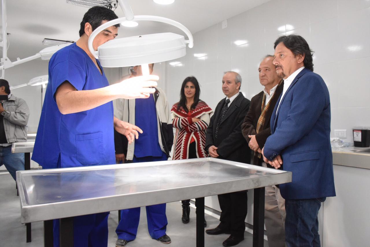 hospital de mascotas